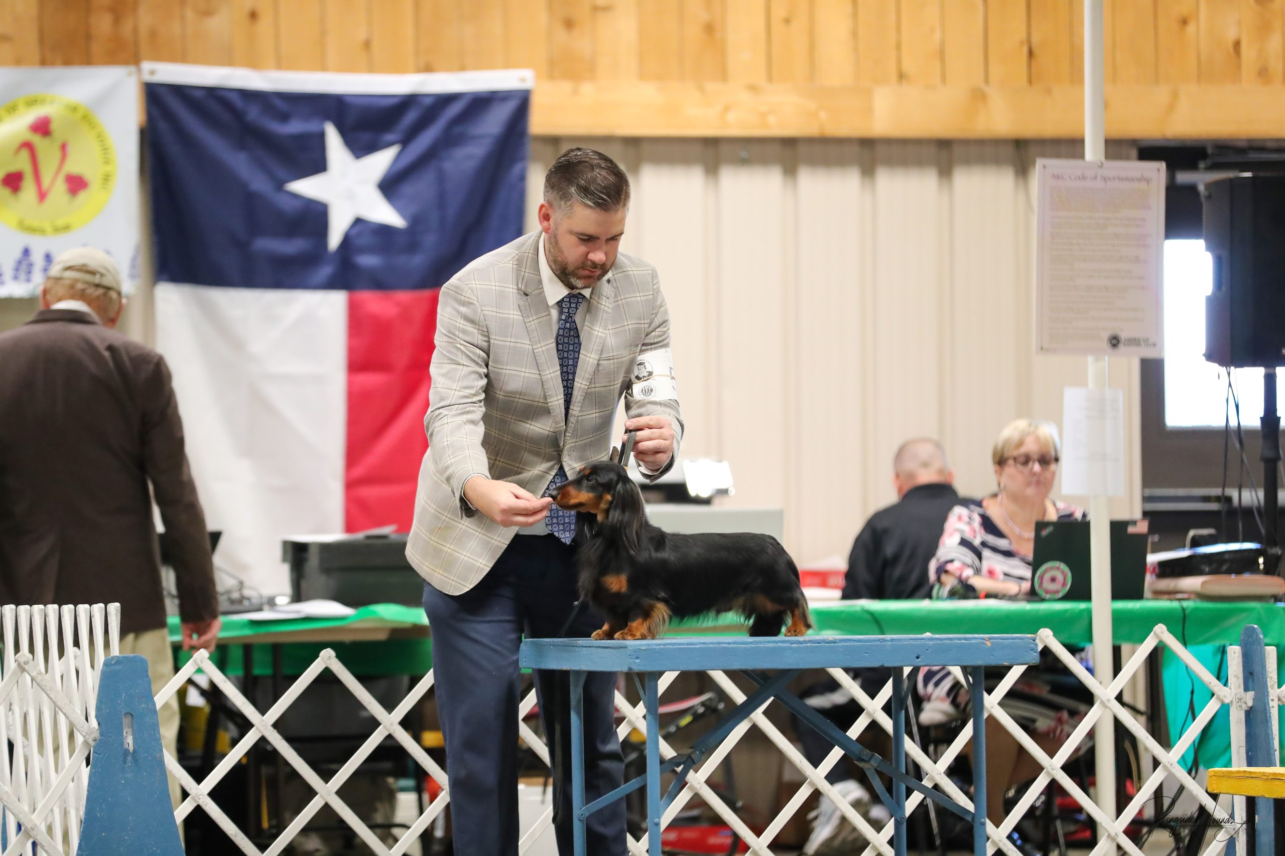 black and tan longhaired dachshund with his handler being shown at an event