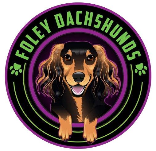 Foley Dachshunds miniature dachshund breeder logo